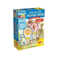 DISCOVER THE HUMAN BODY (LAK451615)