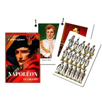 NAPOLEON (PIA1668)