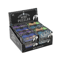 Professor Puzzle Einstein Mini Puzzle Display of 16 (PRO206163)