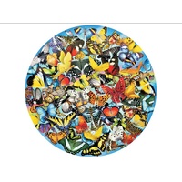 BUTTERFLIES IN THE ROUND 1000p (SUN34953)
