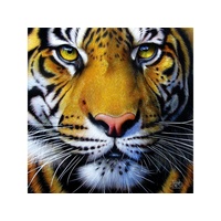GOLDEN TIGER FACE 1000pc (SUN58628)