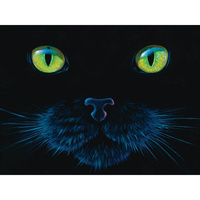 BLACK CAT 1000pc (SUN63346)