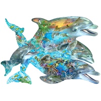 SONG OF THE DOLPHINS *Shaped* (SUN95264)