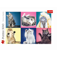 Kittens Jigsaw Puzzles 500 Pieces (TRE37377)
