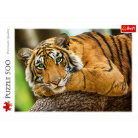 Tiger Portrait Jigsaw Puzzles 500 Pieces (TRE37397)