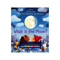 What Is The Moon (USB948210)