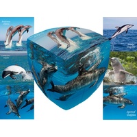 V-Cube Dolphins 3x3 Pillow (VCU001781)