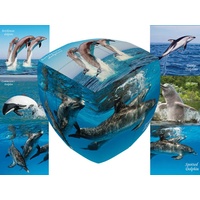V-CUBE DOLPHINS 2x2 PILLOW (VCU001866)