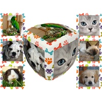 V-CUBE PETS 2x2 PILLOW (VCU001873)