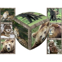 V-CUBE WILD ANIMALS 2x2 PILLOW (VCU001880)