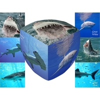 V-CUBE SHARKS 2x2 PILLOW (VCU001927)