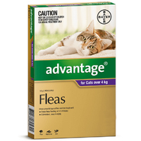 Advantage Large Cat 4kg Over Purple Spot On Flea Treatment 4 Pack
