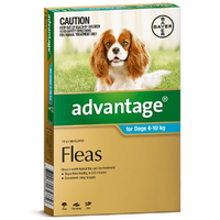 Advantage Medium Dog 4-10kg Teal Spot On Flea Treatment 6 Pack