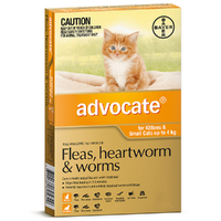 Advocate Cat & Kitten 0-4kg Orange Spot On Flea Wormer Treatment 3 Pack