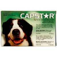 Novartis Capstar Oral Antiparasitic Large Pet Dogs Flea 6 x 57mg 