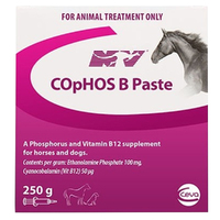 Cophos B Paste Vitamin B12 Lactic Acid Muscle Vitamin Dog Horse 250g 