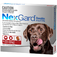 Nexgard Extra Large Dogs Tasty Chews Tick & Flea Treatment 25.1-50kg 3 Pack
