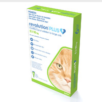 Revolution Plus Spot On Treatment for Large Cats 5-10kg Green 6 Pack