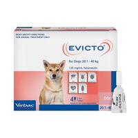 Evicto Spot On Flea & Worm Treatment for Large Dogs 20.1-40kg Pink 4 Pack