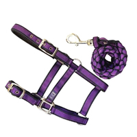 Anipal Autumn Lilac Recycled Comfort Halter & Lead Set Full