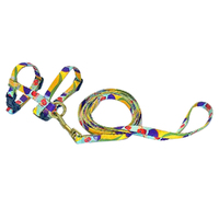Anipal Gigi the Gouldian Finch Snag Proof Durable Cat Harness & Lead Small
