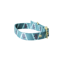 Anipal Kylo The Koala Eco-Friendly Dog Collar Large