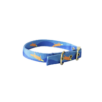Anipal Piper The Platypus Eco-Friendly Dog Collar Large