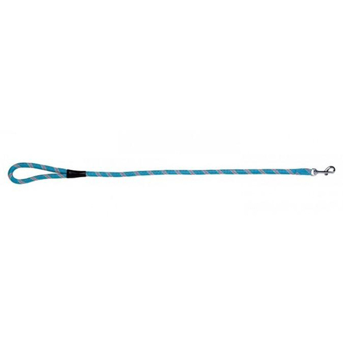 Prestige Pet Mountain Nylon Dog Leash Turquoise 13mm x 183cm
