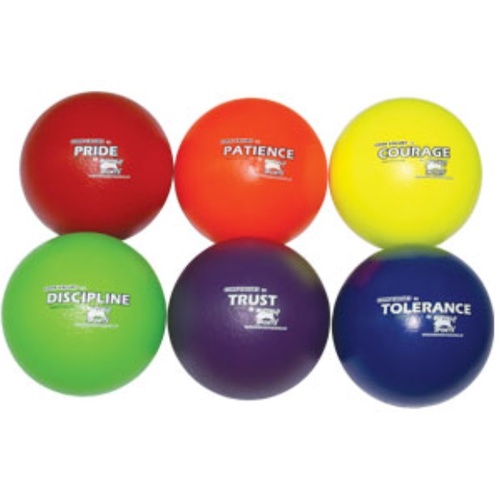 BUFFALO SPORTS SET 2 PREMIUM GATOR SKIN COATED FOAM BALLS - 6 BALLS (CORVAL010)