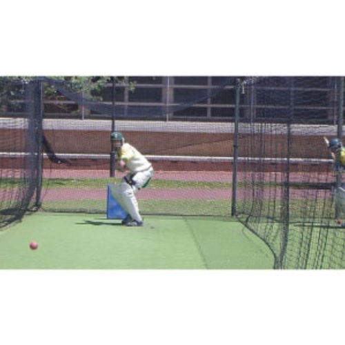 BUFFALO SPORTS HEAVY WEIGHT POLYETHYLENE CRICKET NET - 40FT X 10FT (CRICK112)