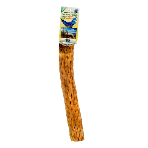 Pollys Pet Cholla Cactus Sun Dried Bird Perch Large 38cm