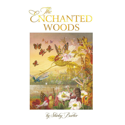The Enchanted Woods Lenticular by Shirley Barber Childrens Book (BRO409540)