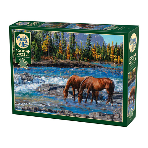 Cobble Hill On the Rocks Jigsaw Puzzle 1000 Pieces (COB40267)