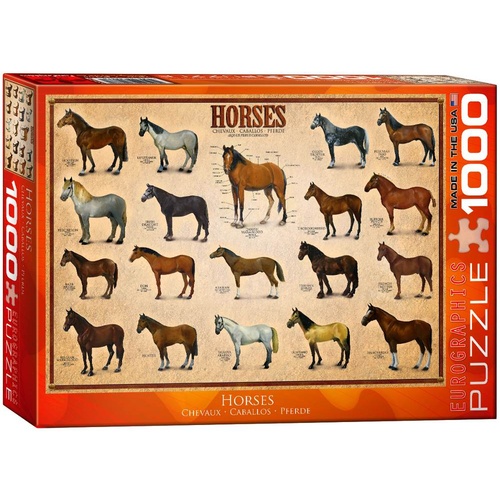Horses Puzzle 1000pcs (EUR60078)