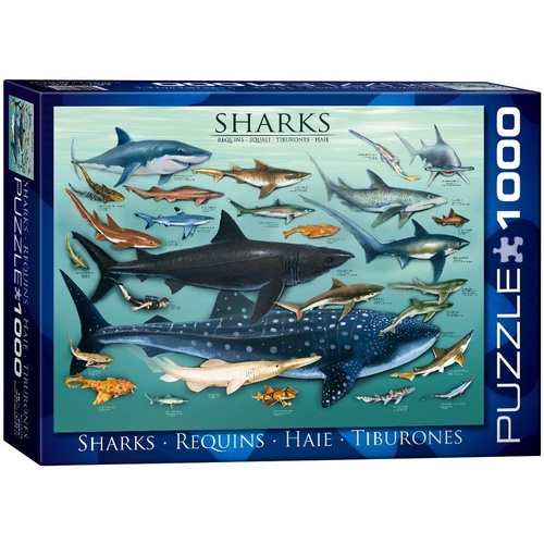 Sharks 1000 Piece (EUR60079)