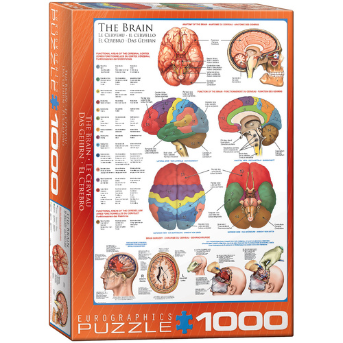Eurographics The Human Brain Jigsaw Puzzle 1000 Pieces