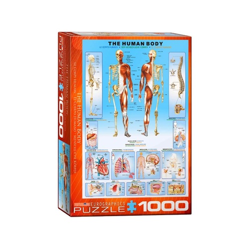 The Human Body 1000 Piece (EUR61000)