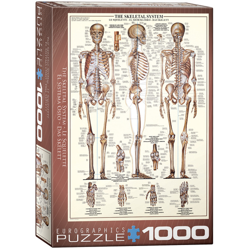Eurographics The Skeletal System Jigsaw Puzzle 1000 Pieces