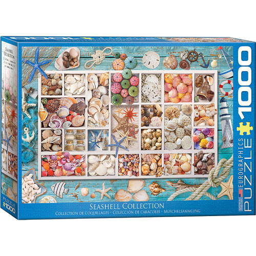 Eurographics Seashell Collection Jigsaw Puzzle 1000 Pieces (EUR65529)