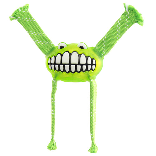 Rogz Flossy Grinz Oral Care Dog Squeaker Toy Lime Medium