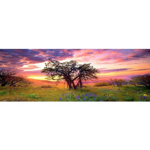PANORAMA, OAK TREE 2000pc (HEY29472)