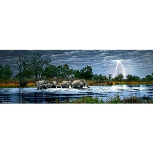 PANORAMA, HERD ELEPHANTS 2000p (HEY29508)