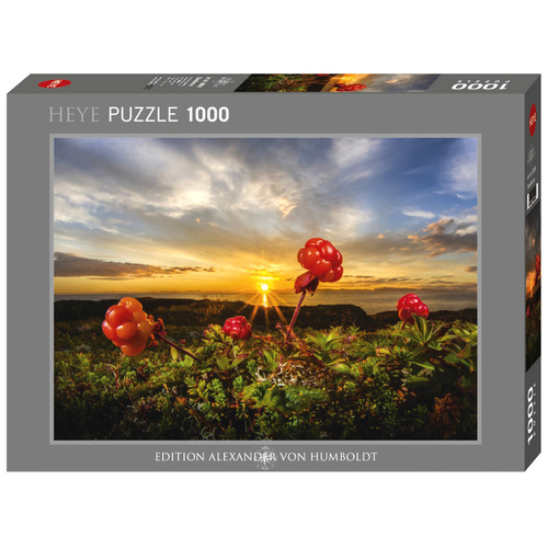 Heye Von Humboldt Cloudberries Jigsaw Puzzle 1000 Pieces (HEY30016)