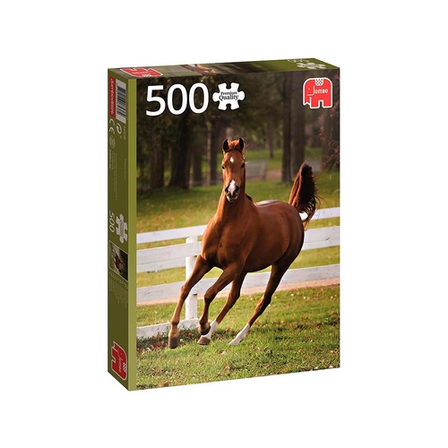 PLAYFUL FOAL 500pc (JUM18538)