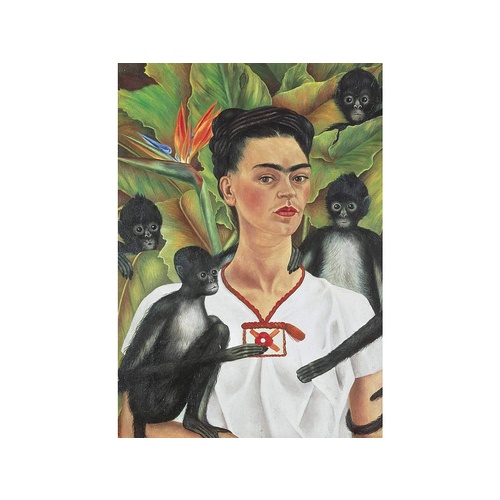 Kahlo Self Portrait With Monkeys (PIA550942)