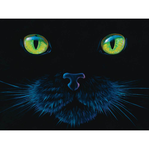 BLACK CAT 1000pc (SUN63346)