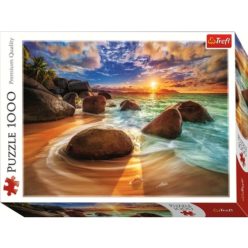 SAMUDRA BEACH, INDIA 1000pc (TRE10461)