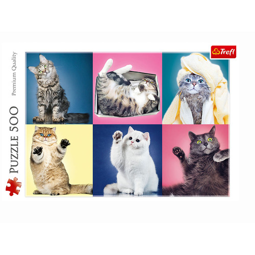 Kittens Jigsaw Puzzles 500 Pieces (TRE37377)