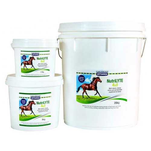 VETSENSE NUTRILYTE 4IN1 20KG (V3043)