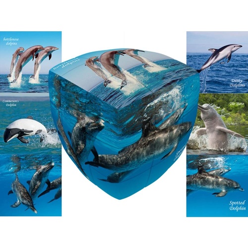 V-Cube Dolphins 3x3 Pillow (VCU001781)